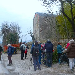 P1170558    Sosta banana, h. 11.50 , ormai sopra Montorio.